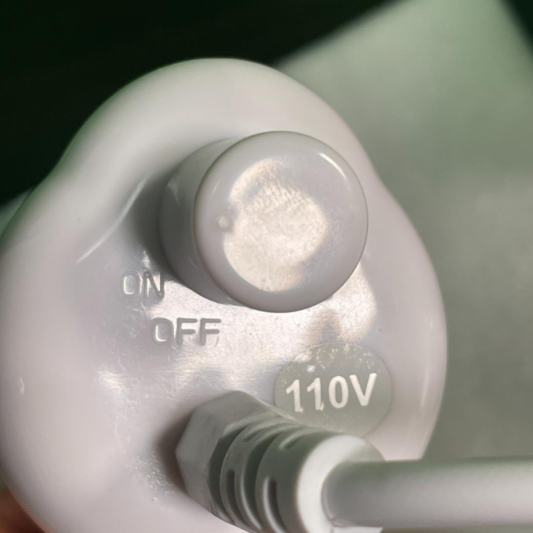 バイオレットレイ 美顔器 高周波セラピー セルフケア エドガーケイシー療法 美品