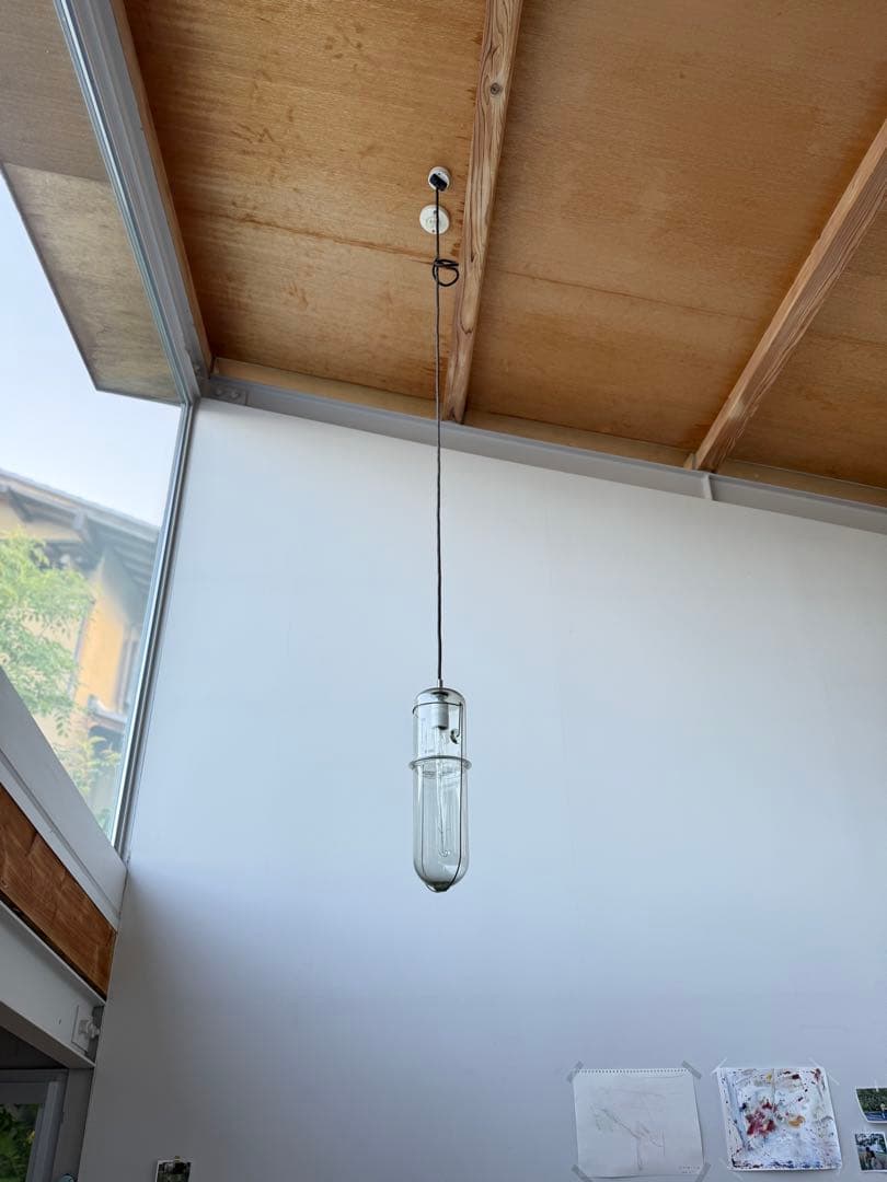 ピーターアイビー　Peter Ivy ライト　電球新品2つ付けます！