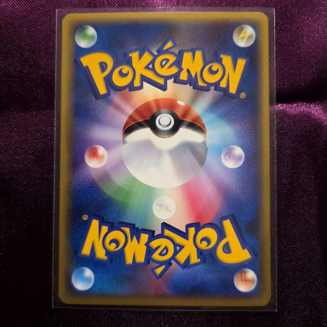 ポケパーク プロモ 2種