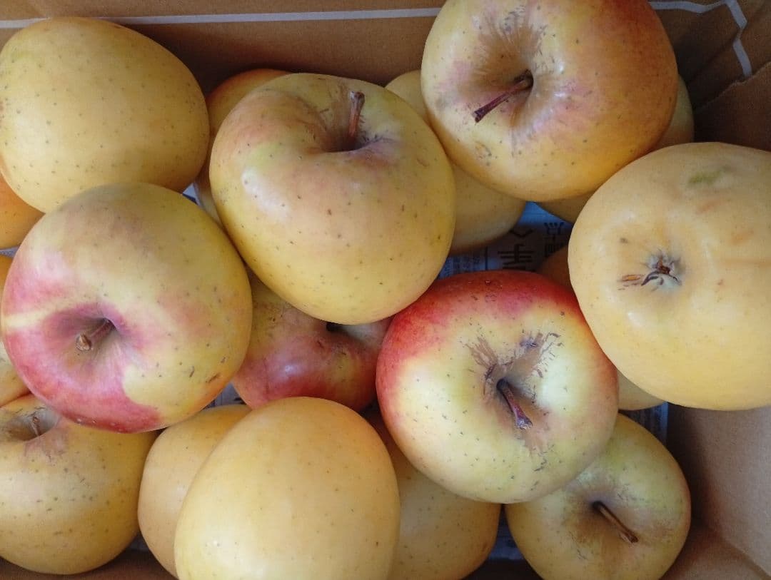 けんぼん　りんご詰め合わせ