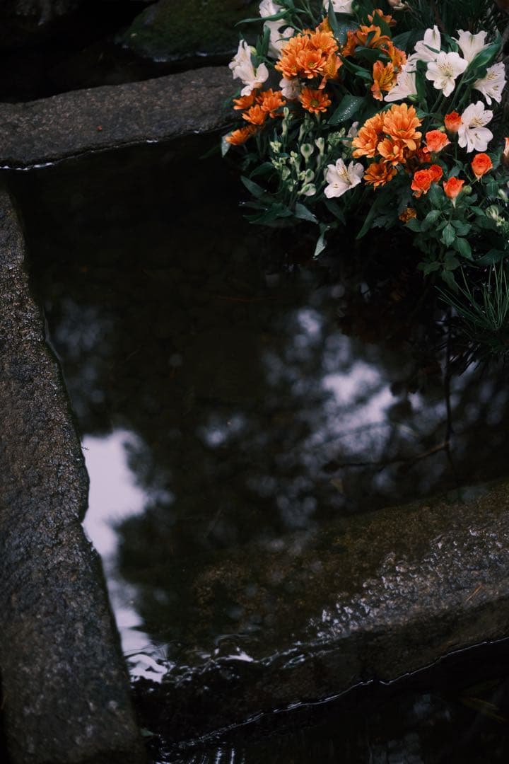 XF33mmF1.4 R LM WR(美品)