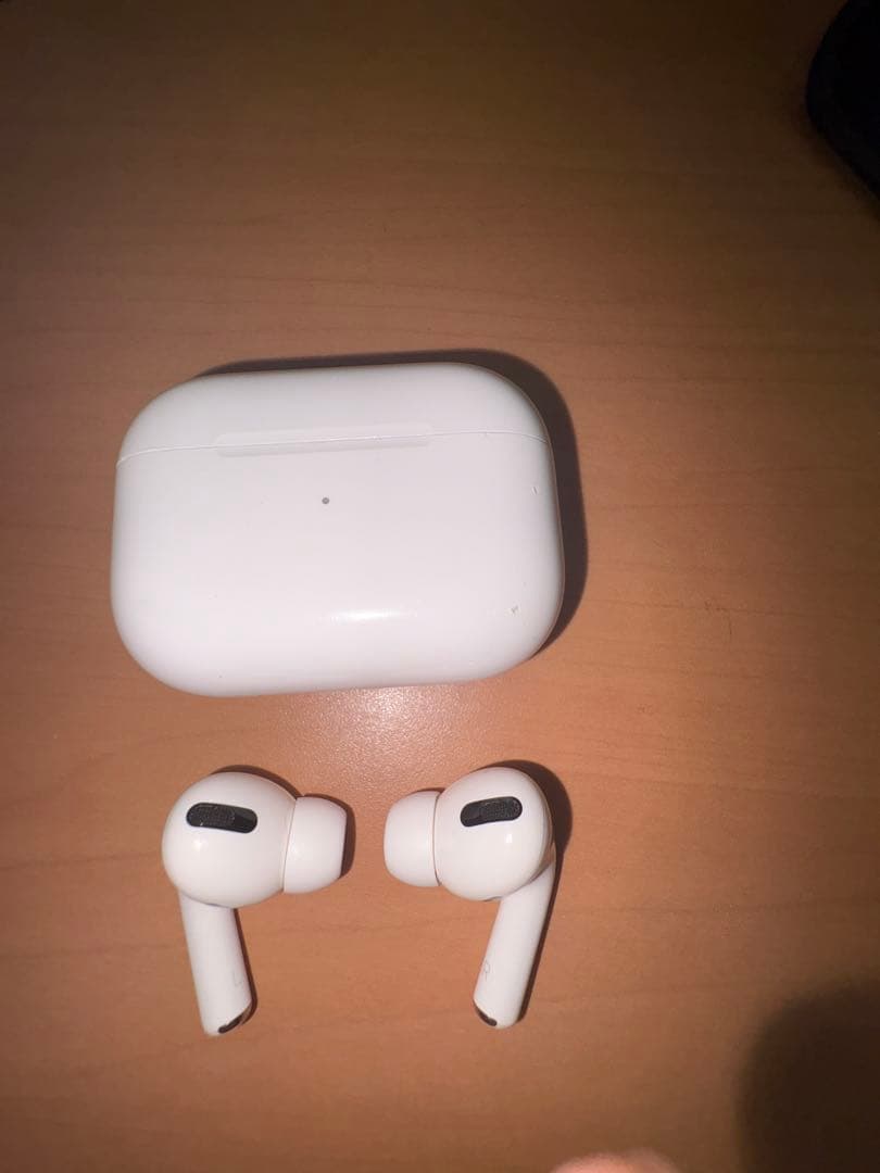AirPods Pro 第一世代 ワイヤレスイヤホン 本体