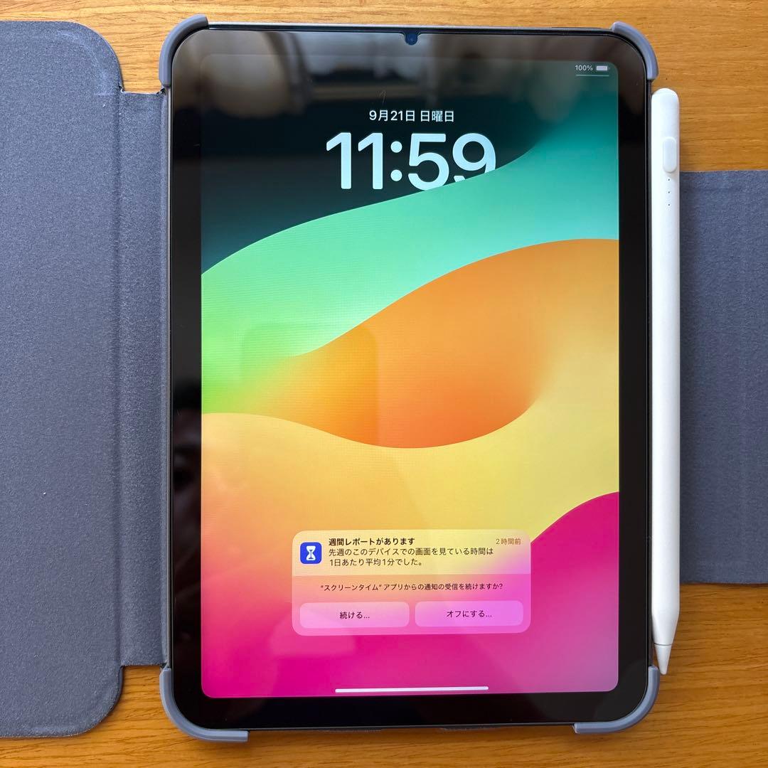 超美品 iPad mini スペースグレー フィルム、カバー、ペンシル付属