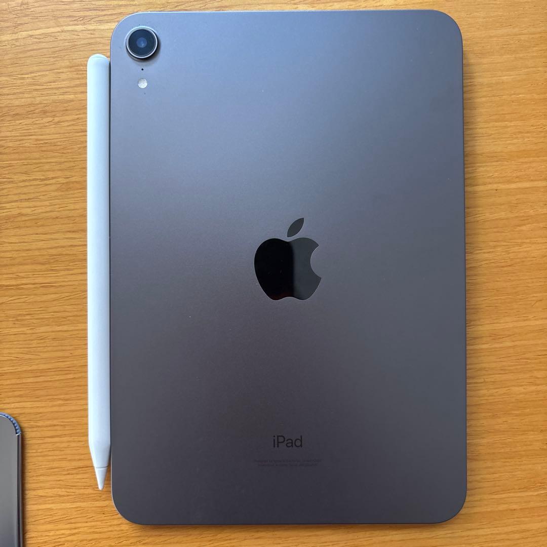 超美品 iPad mini スペースグレー フィルム、カバー、ペンシル付属