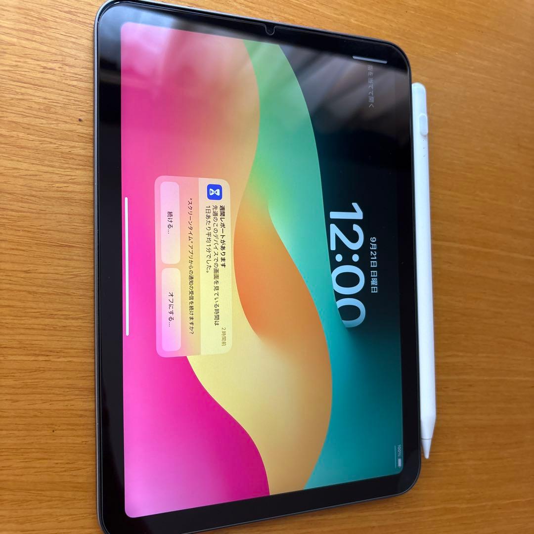 超美品 iPad mini スペースグレー フィルム、カバー、ペンシル付属