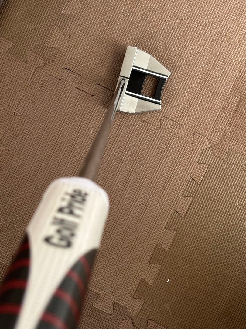 Scotty Cameron Futura 5S パター