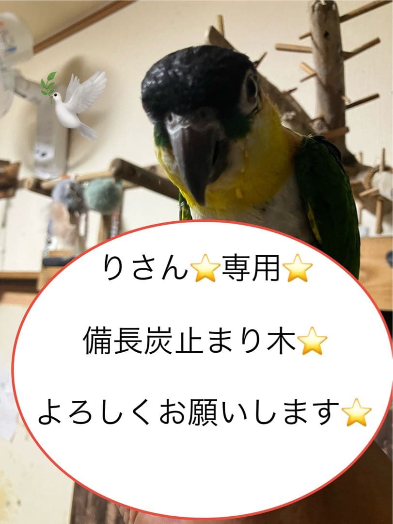 備長炭止まり木⭐️パーチ⭐️止まり木⭐️専用です♪(*´ー｀*)✨