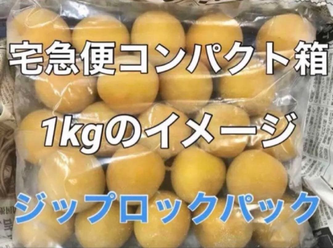 1210❄️クール便「冷凍完熟南高梅」4L5kg 梅酒　シロップ用(梅干し不可)