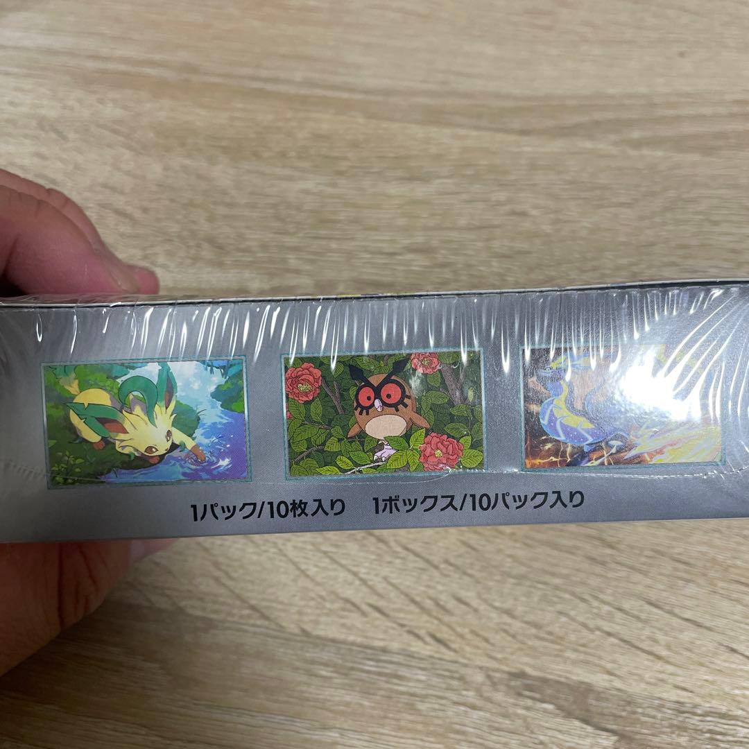 ポケモンカード テラスタルフェスex 1BOX シュリンク付き 【未開封】