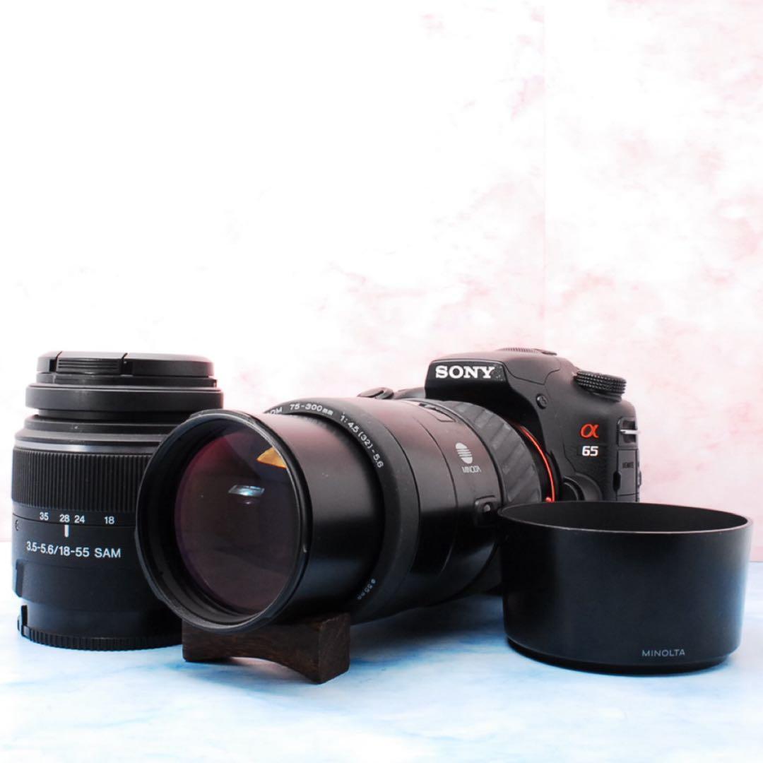 高速連写＆高画質★ソニー α65★一眼レフカメラ★超望遠レンズ付Wレンズ