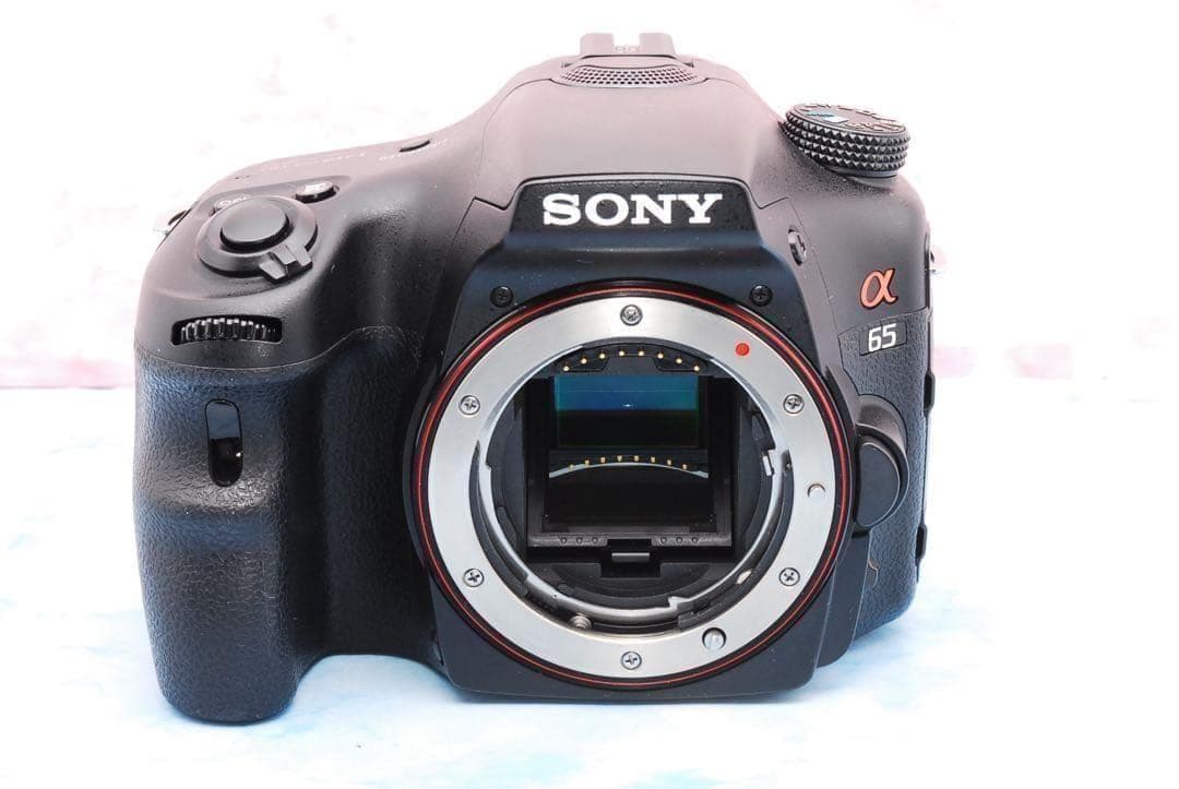 高速連写＆高画質★ソニー α65★一眼レフカメラ★超望遠レンズ付Wレンズ