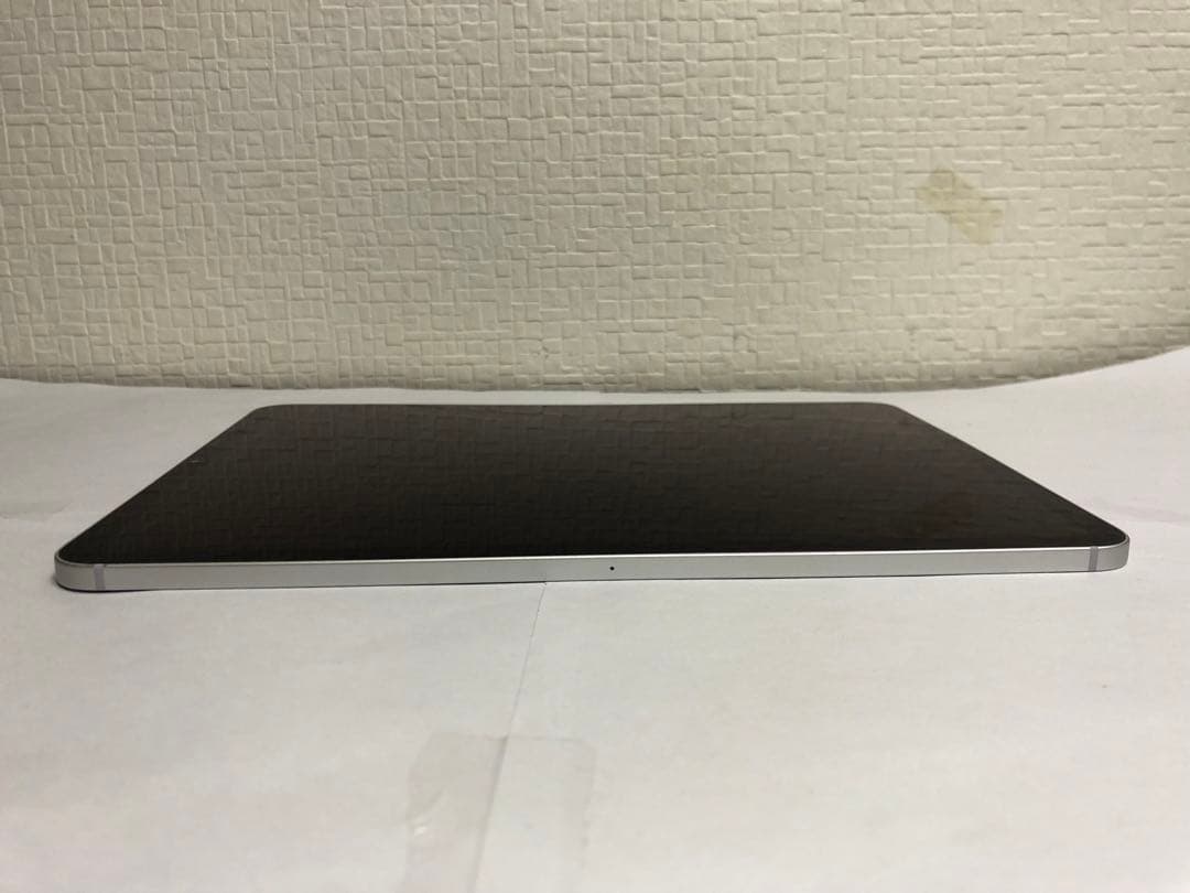 iPad Pro 11 インチ (第1世代) SIMフリー 256GB N.43