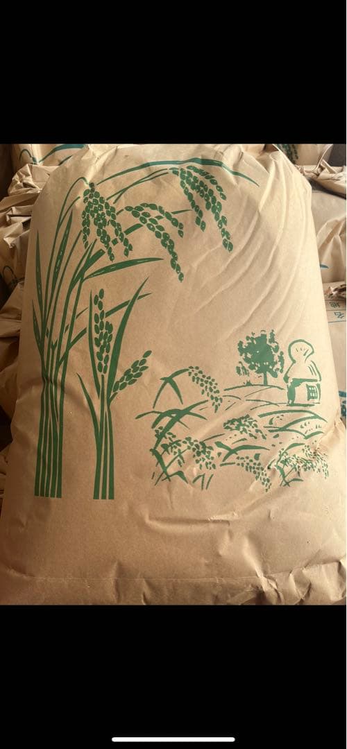 長野県産お米　令和6年度産20kg 2月精米済み