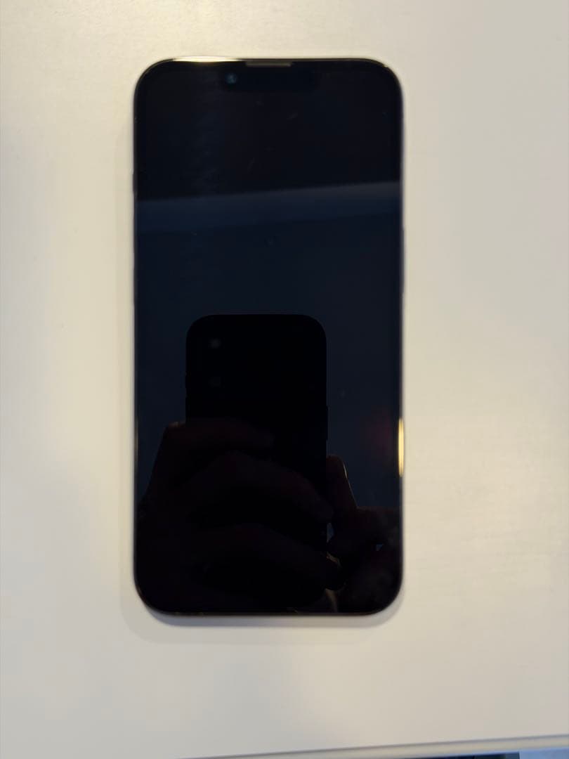 iPhone 13 Pro 128 GB グラファイト(黒)