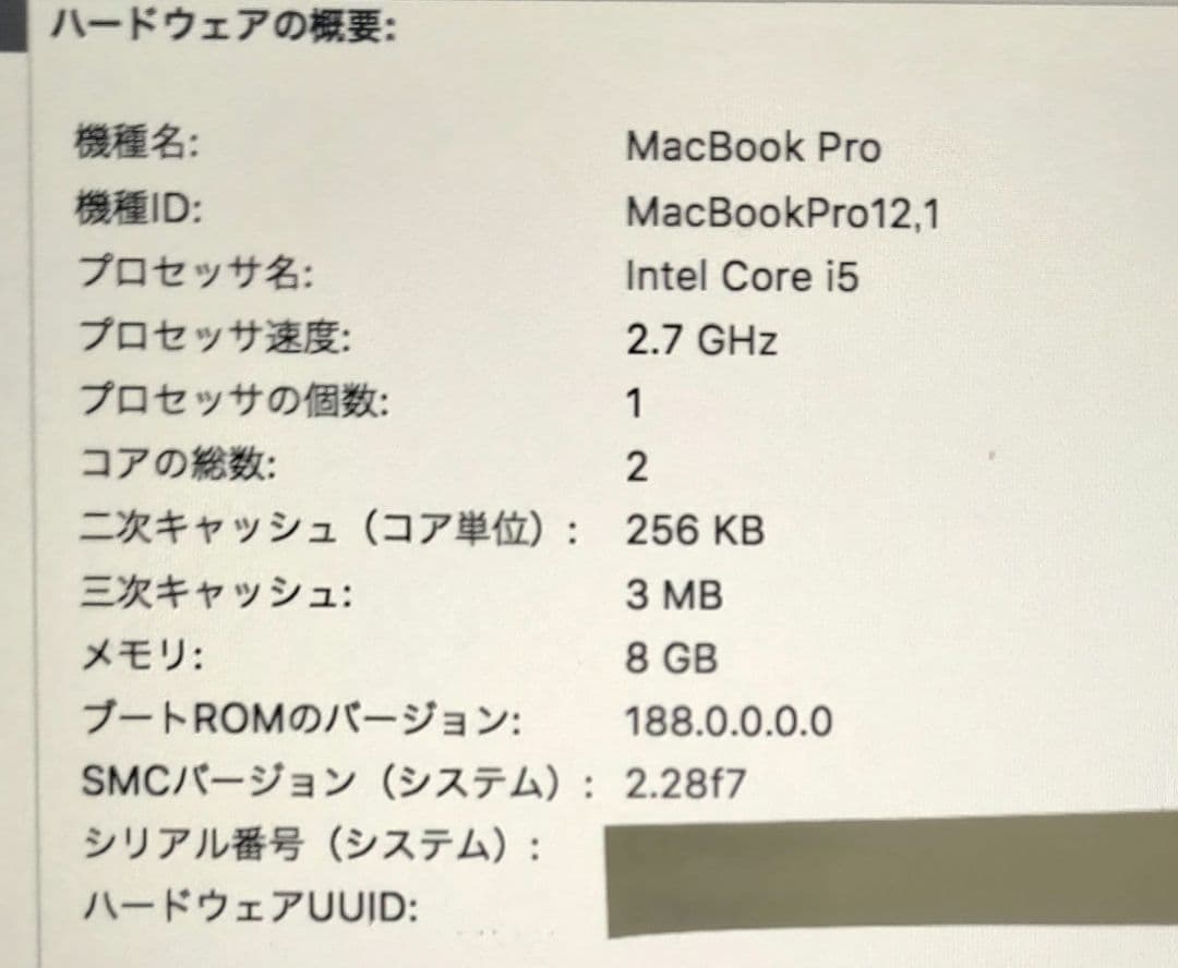 AC付　MacBook Pro 13インチ 2015 Early 128GB
