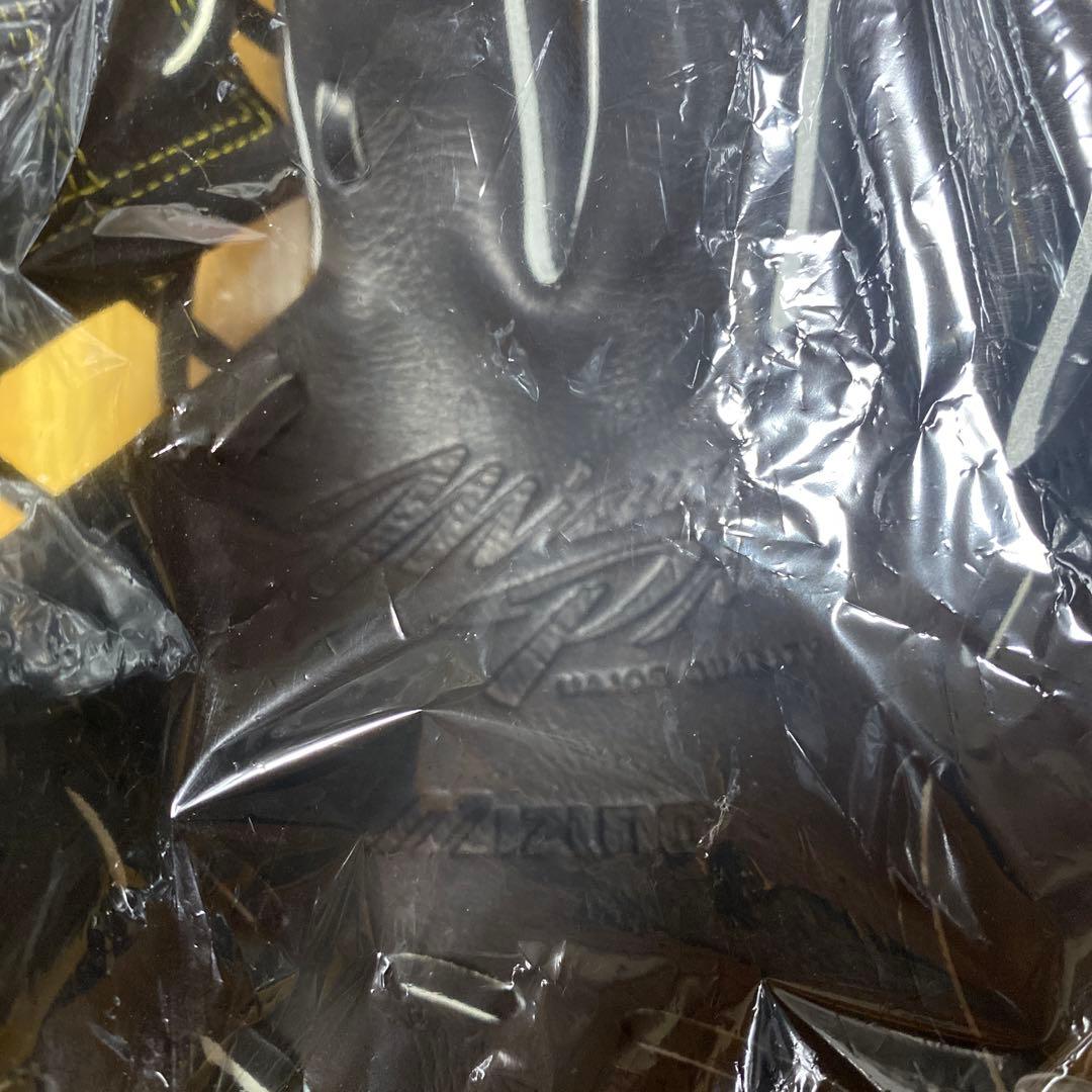 ミズノプロ 硬式グローブ 野球