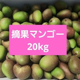m*e様 沖縄県産 摘果マンゴー 青マンゴー 20kg 常温発送 オークションC
