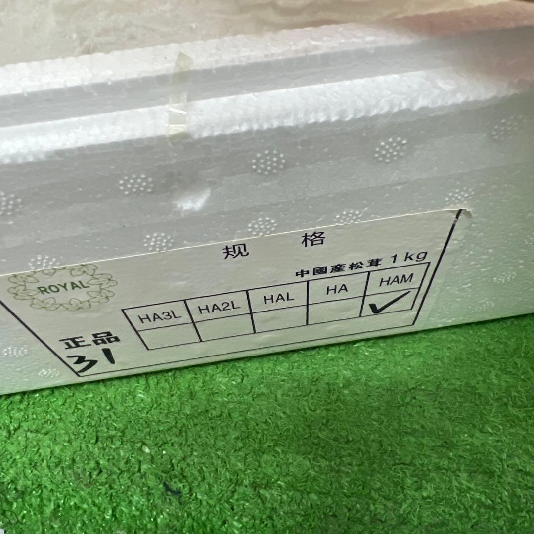 超新鮮な中国産松茸 31本入り　約1キロ入り つぼみ！ 綺麗！