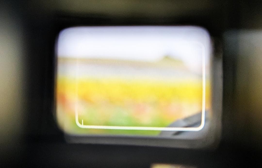 【分解整備済】 OLYMPUS TRIP35 40mm F2.8 フィルムカメラ