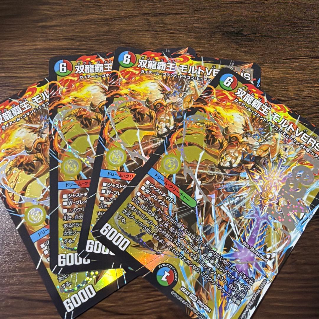 双龍覇生モルト　VERSUS