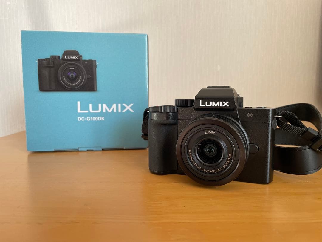 LUMIX DC-G100DX ミラーレス一眼 ブラック