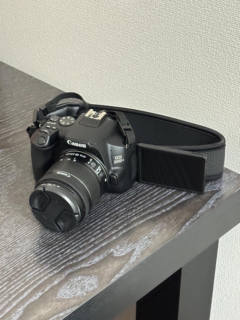 Canon EOS Kiss X10（200DⅡ） レンズ＆カバンセット