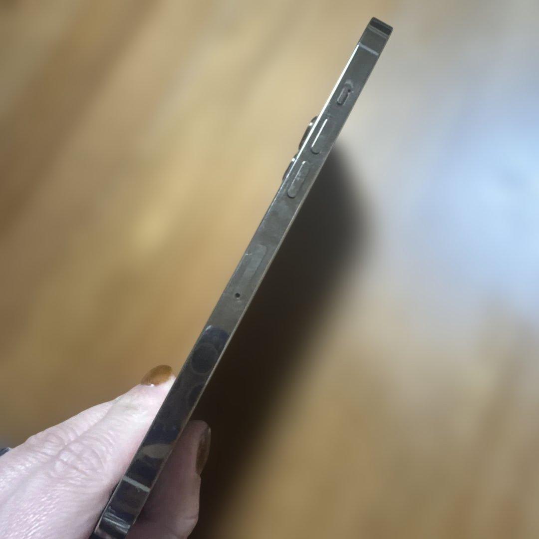 Apple iPhone 12pro max 本体