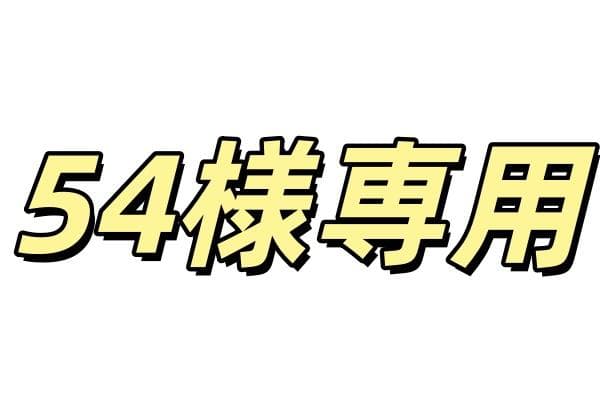 54NATAL DESIGN KERMIT ネイタルデザ　レトロストライプ