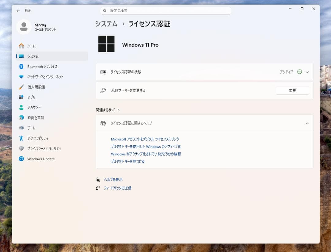 Lenovo M720q i5第9世代WX3100グラボ16GB RAM SSD
