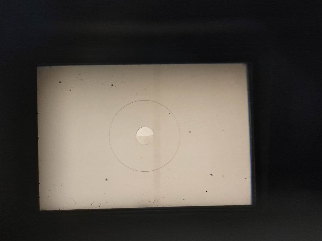 Nikon F アイレベル NIKKOR-S Auto 50mm f1.4