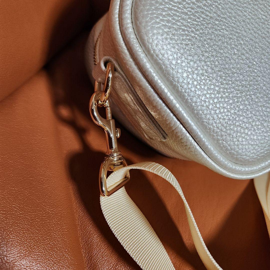 【ほぼ新品！メーカー欠品】BROPRO フルートケース カバー