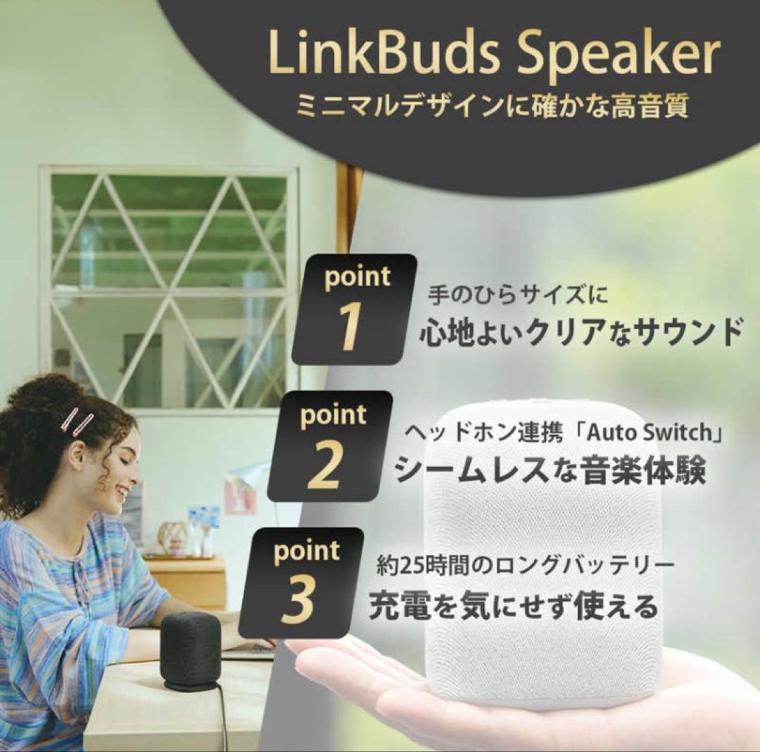 SONY LinkBuds Speaker ソニー　スピーカー