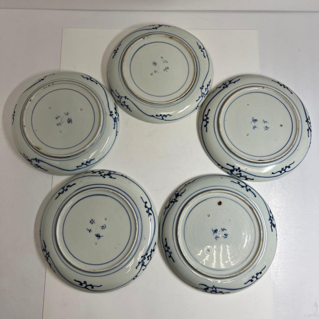 江戸後期　古伊万里　蛸唐草七寸皿5枚　直径約19㎝　東Y7-1208☆2Fトヒオ