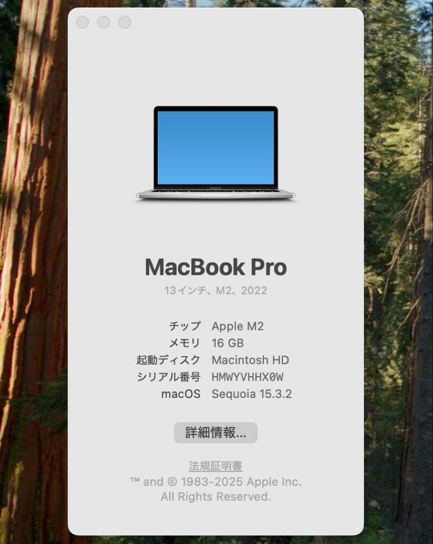 MacBookpro 2022 M2 256GB 箱 ケーブル アダプター