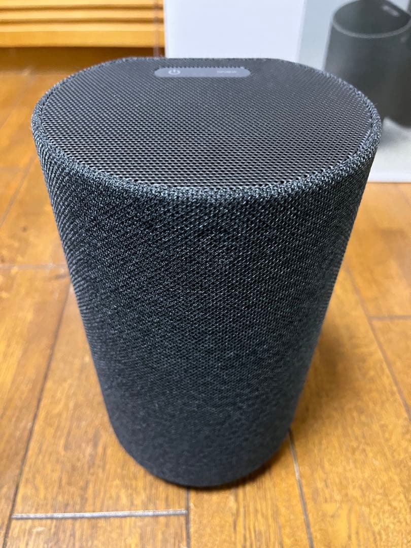 SONY SA-RS5 イネーブルドスピーカー 2個セット