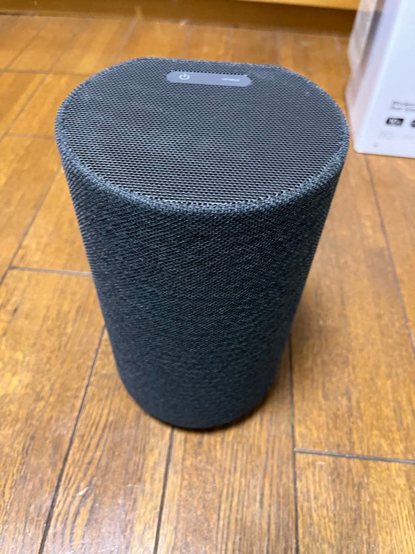 SONY SA-RS5 イネーブルドスピーカー 2個セット