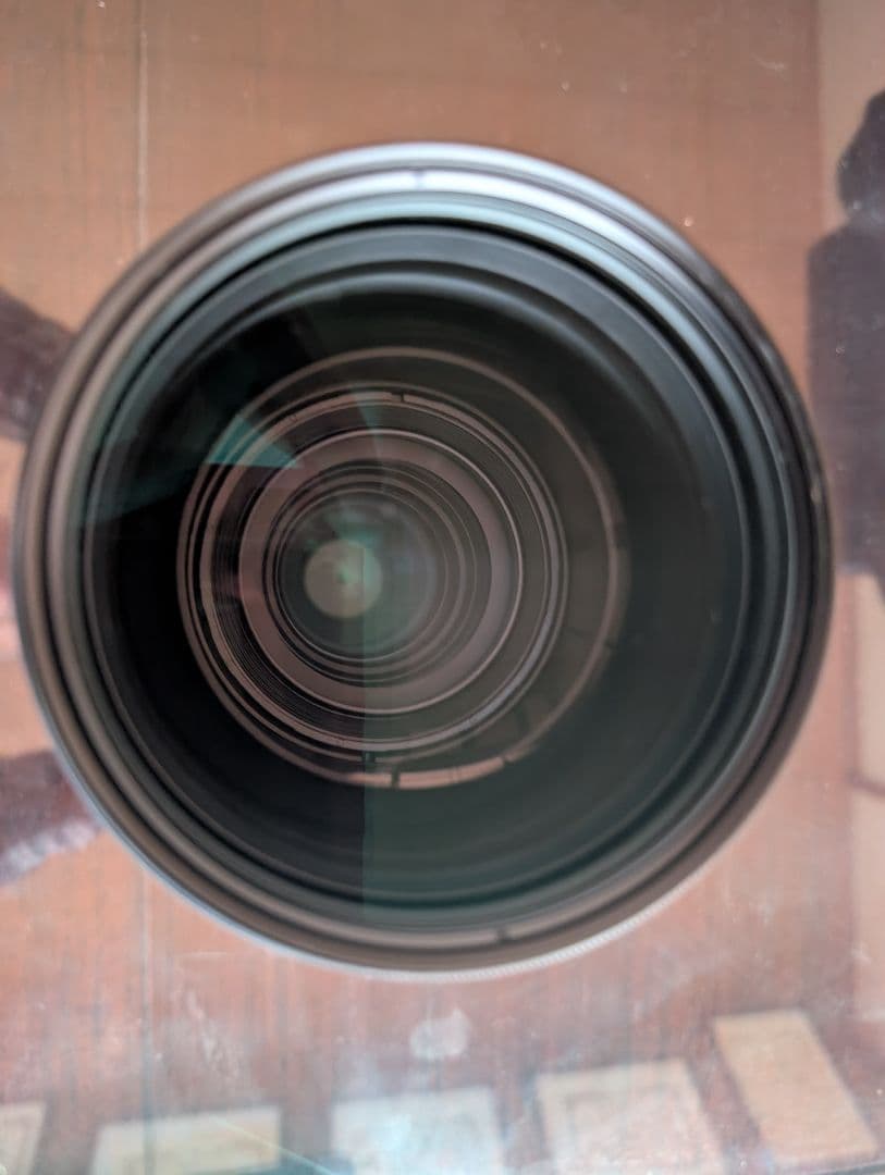 【ニコン用】SIGMA 150-600mm 超望遠+テレコンx1.4