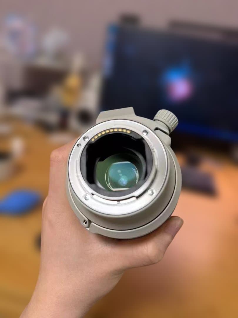 レンズ(ズーム) SONY FE 70-200mm F4 G OSS II Macro