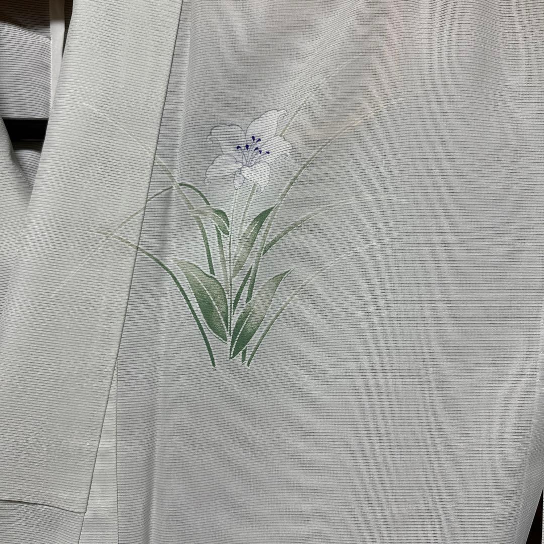 洗える着物 絽訪問着 絽長襦袢 絽袋帯 セット しつけ付き