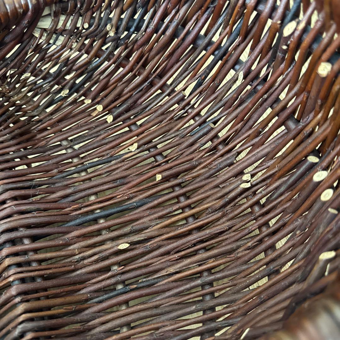 カゴアミドリ　フランス　カゴ　インテリア