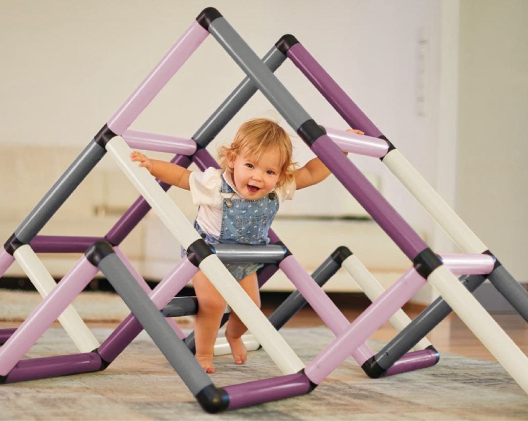 ボーネルンド クアドロ ホーム ジム ピンク