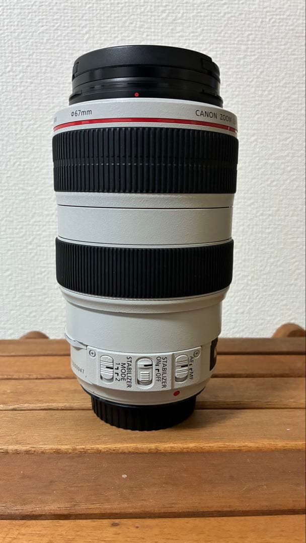 レッド　Canon EF 70-300mm f/4-5.6L IS USM