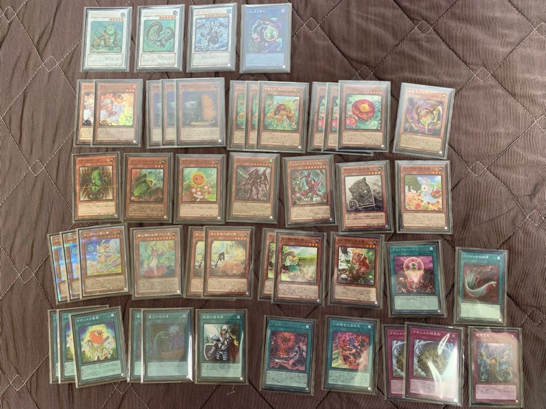 遊戯王　ナチュル春化精　デッキ　高レア