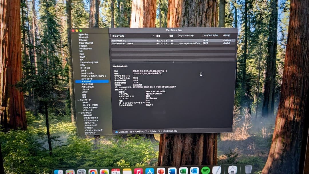 MacBook Pro 16インチ 32GB 1TB 2019 i9 シルバー