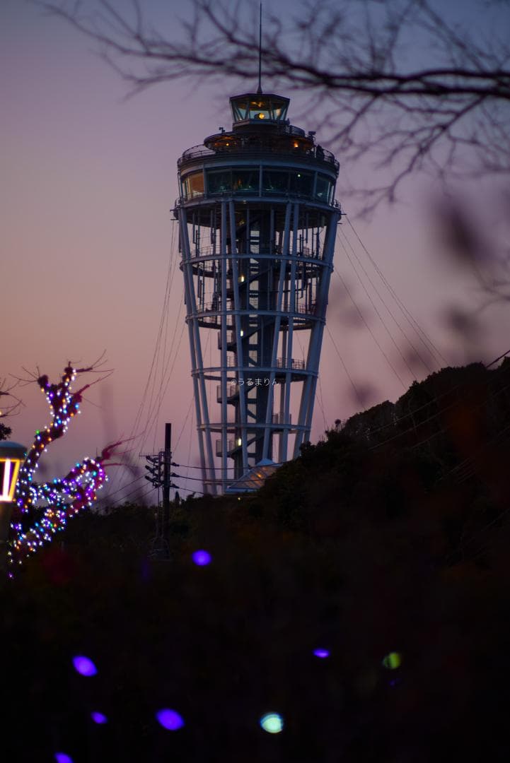 珠玉のポートレートレンズ！CONTAX Planar 85mm F1.4 AEG