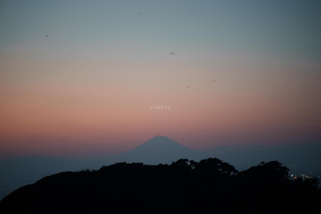 珠玉のポートレートレンズ！CONTAX Planar 85mm F1.4 AEG