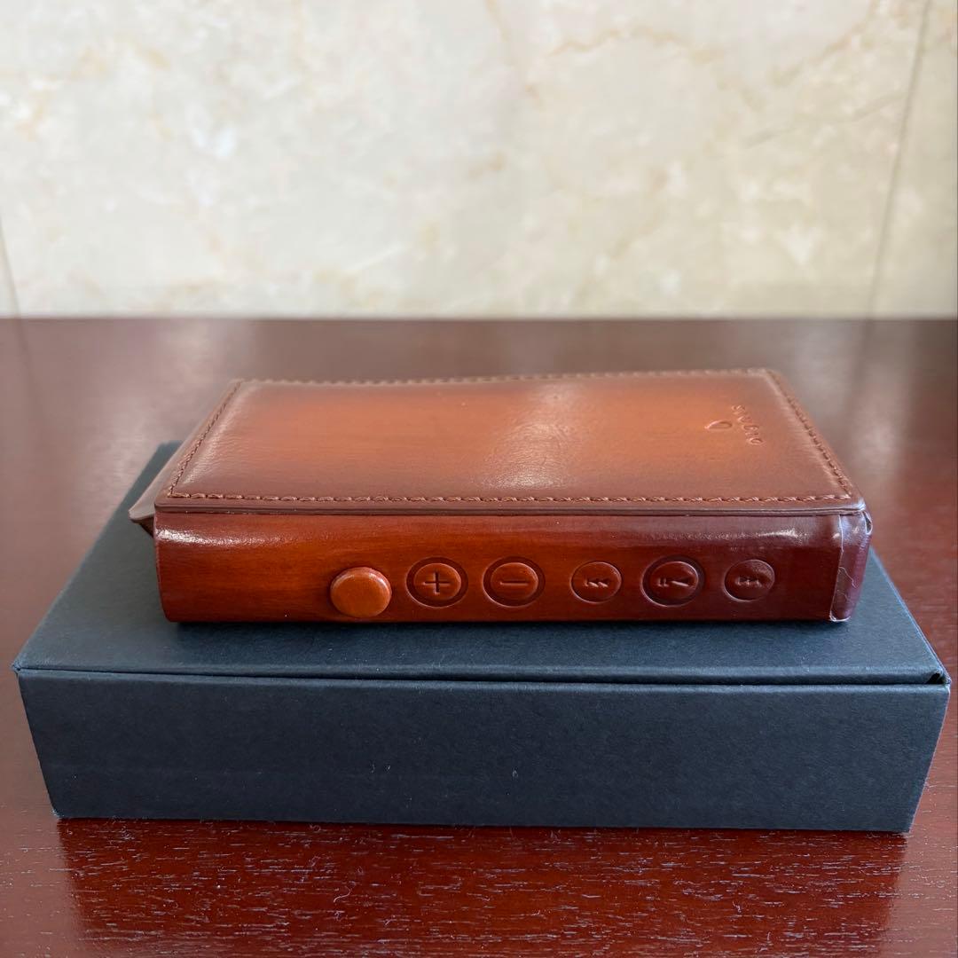 Dignis Patina Brown Case for NW-WM1 箱付