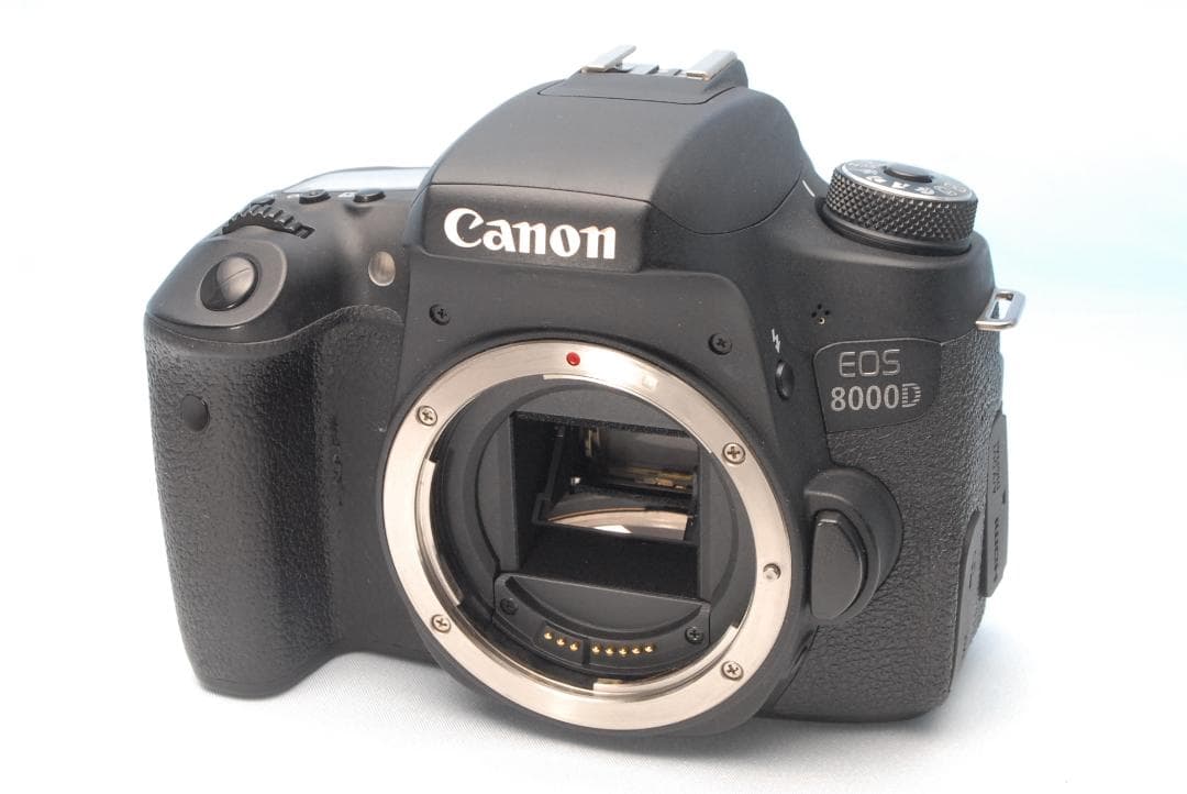✨初・中級者向け✨キヤノン EOS 8000D Wi-Fi 手振れ補正 高コスパ