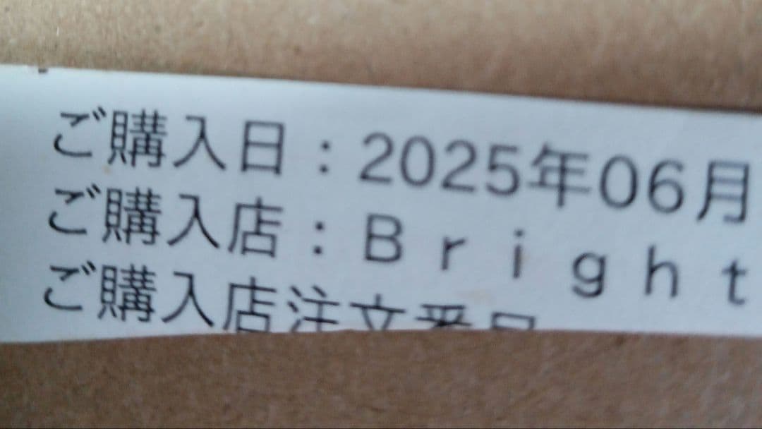 ブライト エレキブラシプラス / Brighte ELEKI BRUSH＋美顔器