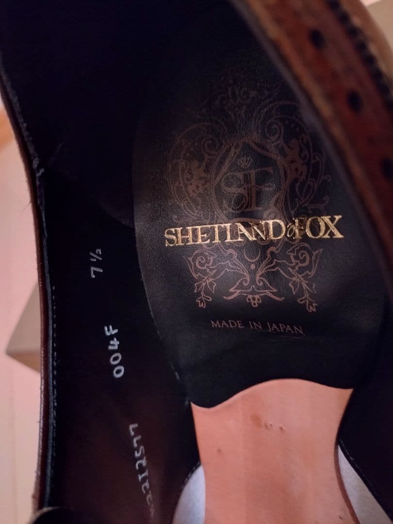 REGAL　シェットランドフォックス